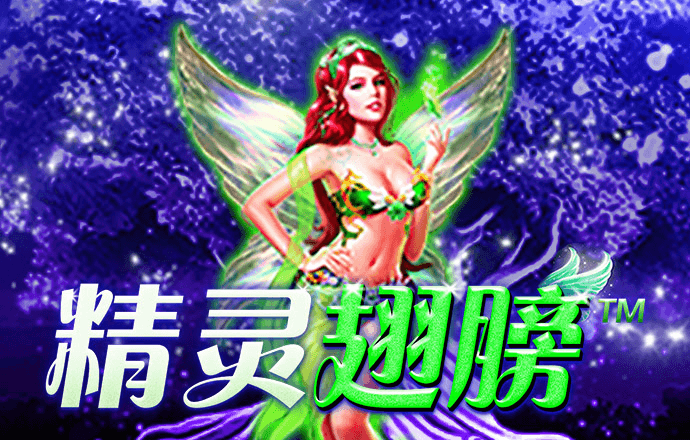 B搏体育